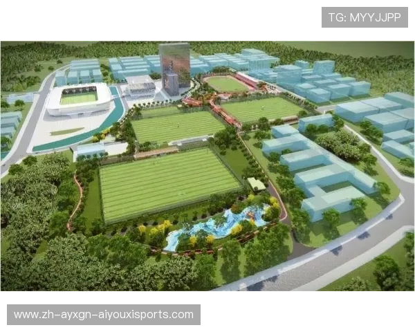 足球青训体系建设与人才培养模式研究